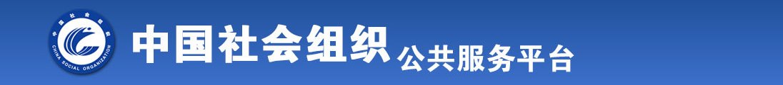 插骚肥b全国社会组织信息查询